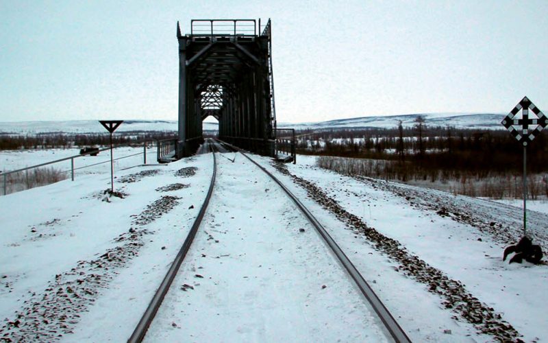 Nel «Gelo perenne» rinasce la vita
