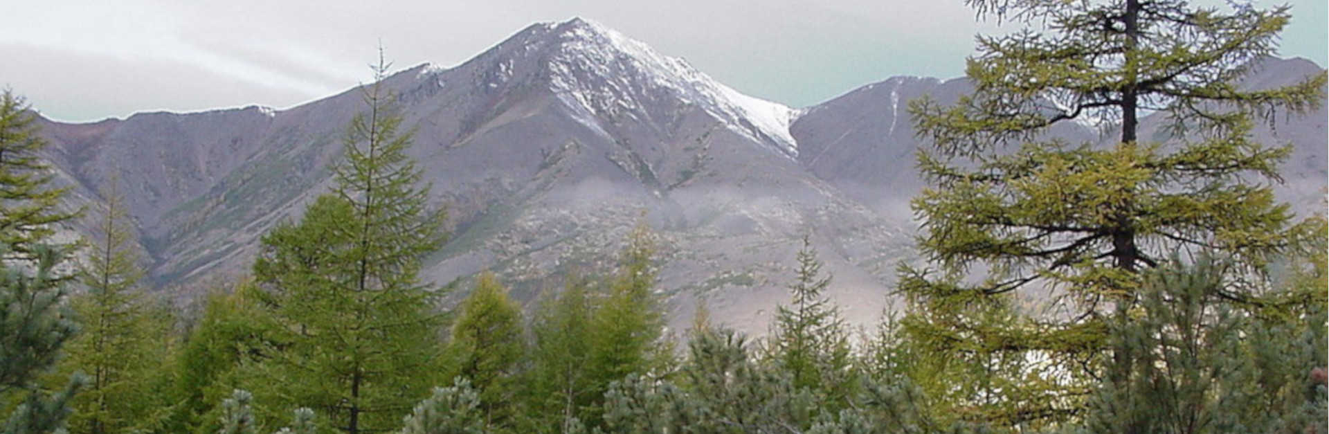 La morte di Šalamov