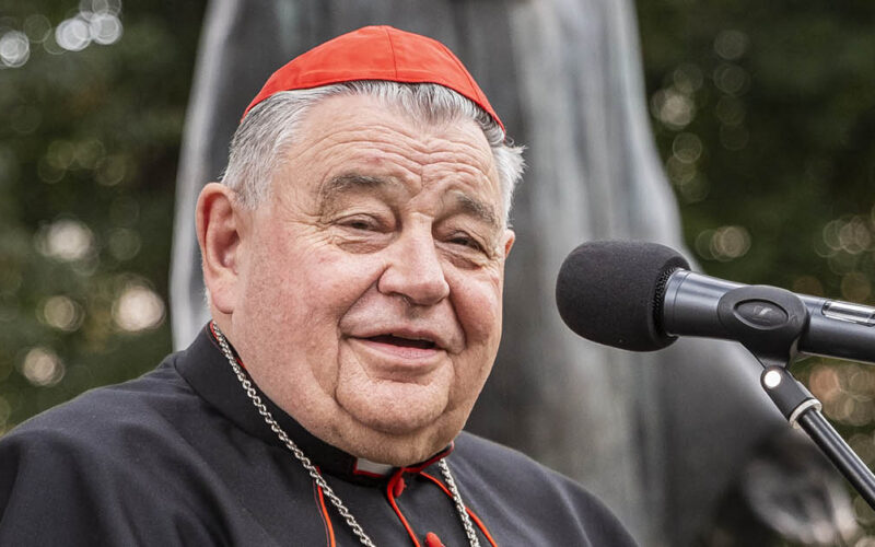 Un cardinale tutto d’un pezzo