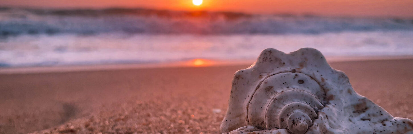 Un granellino di sabbia e la vittoria sul mondo