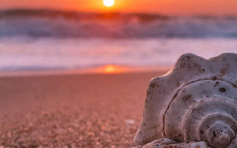 Un granellino di sabbia e la vittoria sul mondo